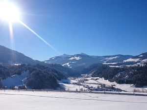 24048946-Ferienwohnung-4-Hopfgarten im Brixental-300x225-3