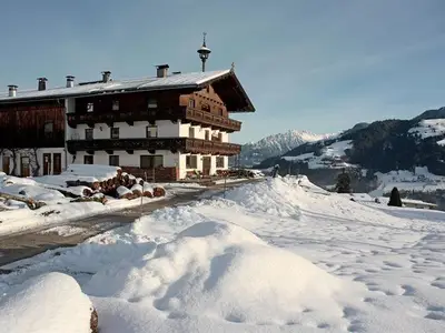 Ferienwohnung für 6 Personen (60 m²) in Hopfgarten im Brixental 9/10