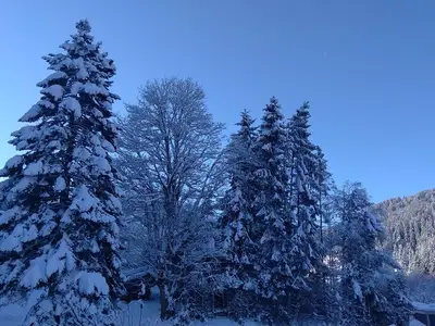 Ferienwohnung für 7 Personen (55 m²) in Kelchsau 5/10