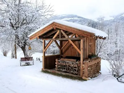 Ferienwohnung für 6 Personen (60 m²) in Kelchsau 2/10