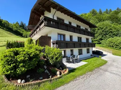 Ferienwohnung für 4 Personen (50 m²) in Hopfgarten im Brixental 2/10