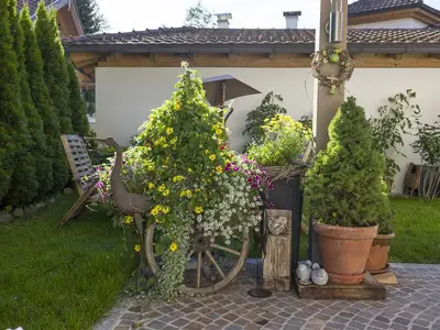 Haus Riedmann Blumen