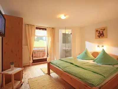Doppelzimmer mit Dusche/WC und TV- Ferienwohnung 2