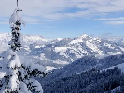 Ferienwohnung für 6 Personen (55 m²) in Hopfgarten im Brixental 9/10
