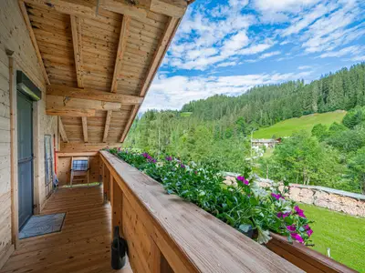 Aussicht vom Ferienhaus [Sommer]