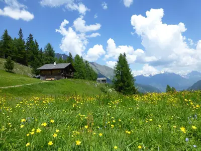 Unsere Hütte auf der Kleinitzalm