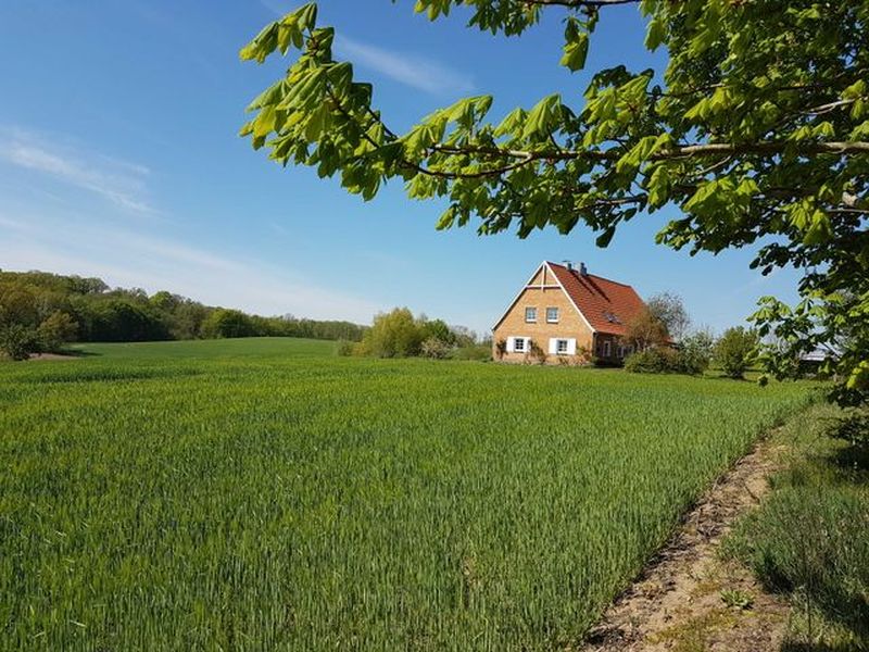 22466895-Ferienwohnung-4-Hoppenrade (Mecklenburg-Vorpommern)-800x600-1