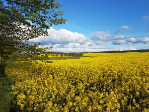 22466895-Ferienwohnung-4-Hoppenrade (Mecklenburg-Vorpommern)-300x225-2