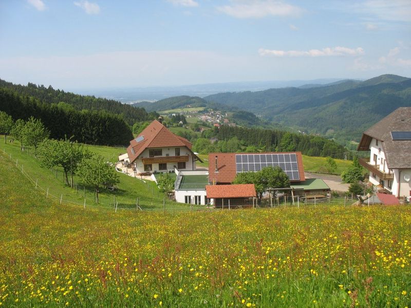 22180371-Ferienwohnung-4-Horben-800x600-0