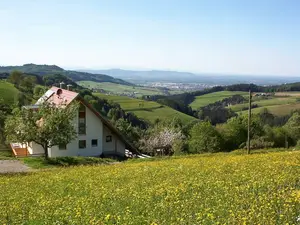 Ferienwohnung für 2 Personen (50 m²) in Horben