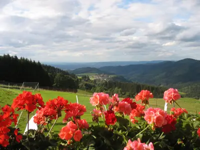 Reeshof_Wohnung Panoramablick