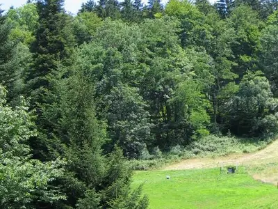 Ferienwohnung für 2 Personen (40 m²) in Horben 10/10