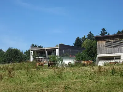 Ferienwohnung für 4 Personen (58 m²) in Hörbranz 6/10