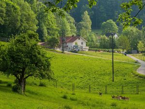 Ferienwohnung für 4 Personen (25 m&sup2;) in Horgenzell