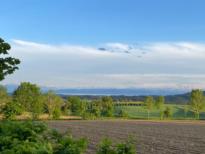 22502939-Ferienwohnung-8-Horgenzell-800x600-2