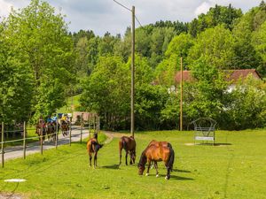 22509543-Ferienwohnung-4-Horgenzell-300x225-5