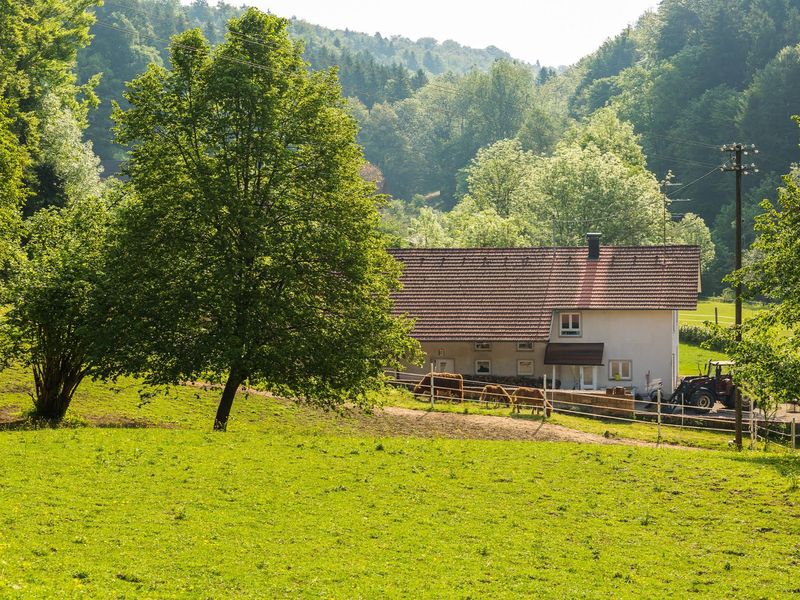 22509543-Ferienwohnung-4-Horgenzell-800x600-1