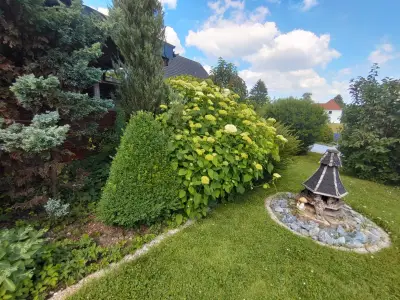 Ferienwohnung für 4 Personen (74 m²) in Horn-Bad Meinberg 3/10