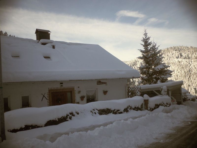 18712927-Ferienwohnung-4-Hornberg-800x600-1