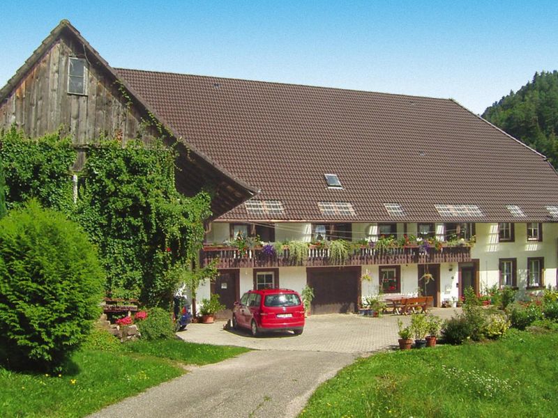 23290508-Ferienwohnung-4-Hornberg-800x600-0