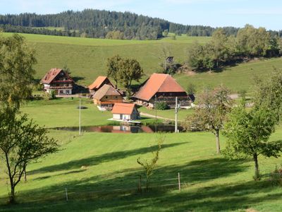 Ferienwohnung für 4 Personen (45 m²) in Hornberg 5/10