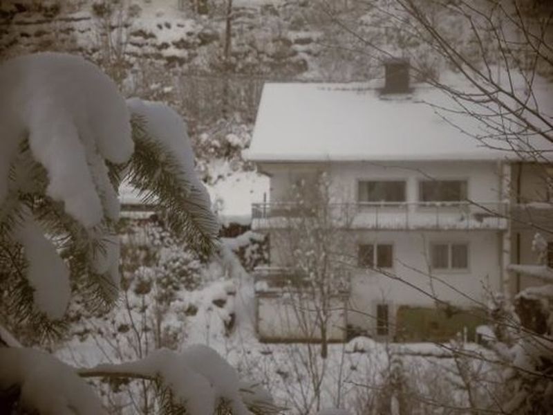 18712927-Ferienwohnung-4-Hornberg-800x600-2