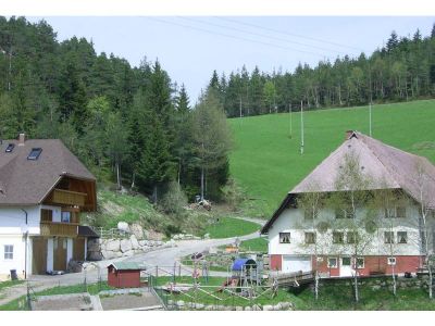 Ferienwohnung für 4 Personen (45 m²) in Hornberg 1/10