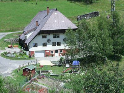 Ferienwohnung für 4 Personen (45 m²) in Hornberg 2/10