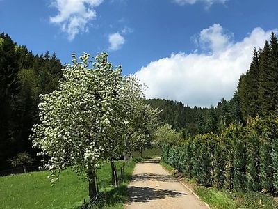 Ferienwohnung für 4 Personen (80 m²) in Hornberg 9/10