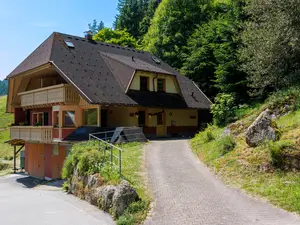 Ferienwohnung für 3 Personen (40 m²) in Hornberg