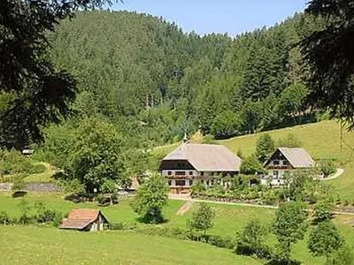Ferienwohnung für 2 Personen (45 m²) in Hornberg 3/10