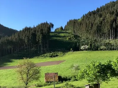 Ferienwohnung für 2 Personen (45 m²) in Hornberg 10/10