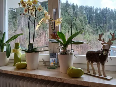 Ferienwohnung für 4 Personen (65 m²) in Hornberg 10/10