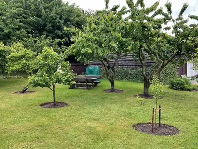 Ferienwohnung für 2 Personen (36 m²) in Hornstorf 10/10