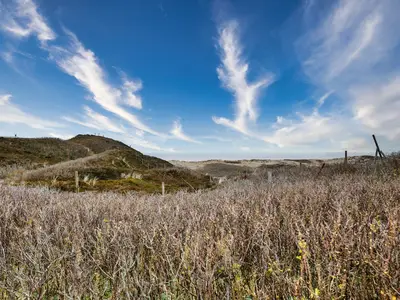 Ferienwohnung für 4 Personen (63 m²) in Hörnum 3/10