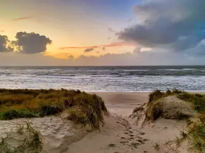 Ferienwohnung für 4 Personen (75 m²) in Hörnum 9/10