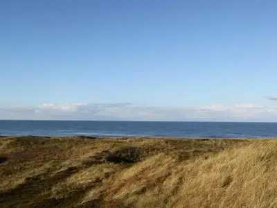 Ferienwohnung für 4 Personen (50 m²) in Hörnum 1/10