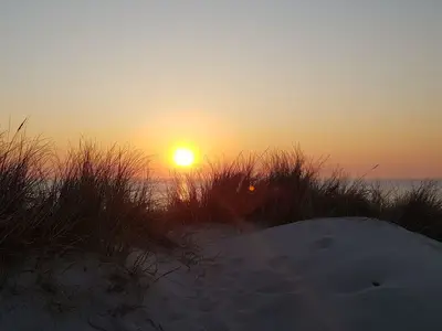 Ferienwohnung für 4 Personen (50 m²) in Hörnum 10/10