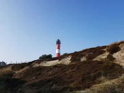 Ferienwohnung für 2 Personen (55 m²) in Hörnum 10/10
