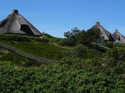 Ferienwohnung für 6 Personen (65 m²) in Hörnum (Sylt) 4/10