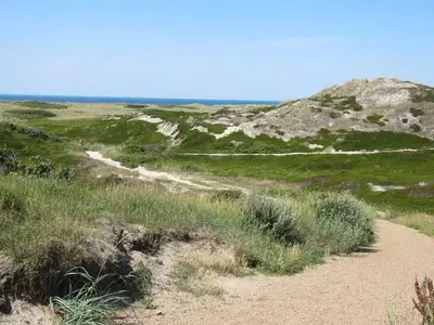 Ferienwohnung für 4 Personen (50 m²) in Hörnum (Sylt) 4/10