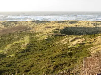 Ferienwohnung für 4 Personen (50 m²) in Hörnum (Sylt) 6/10