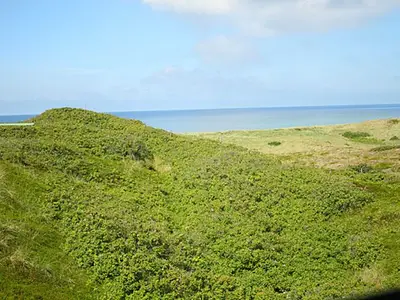 Ferienwohnung für 4 Personen (63 m²) in Hörnum (Sylt) 4/10