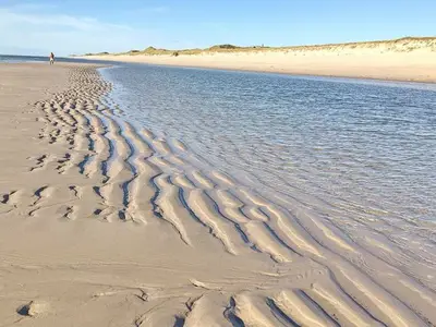 Ferienwohnung für 4 Personen (30 m²) in Hörnum (Sylt) 9/10