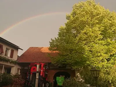 Ferienwohnung für 6 Personen (60 m²) in Horrweiler 2/10