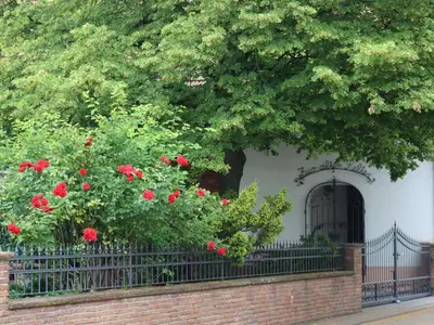 Ferienwohnung für 6 Personen (60 m²) in Horrweiler 5/10