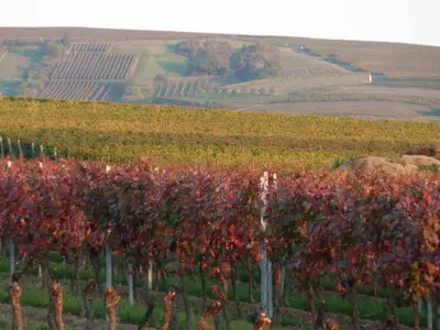 Herbst Umgebung