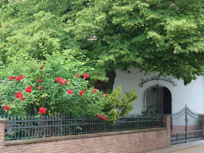 Weingut Hof