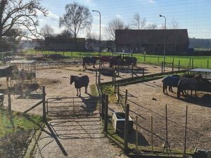 Ferienwohnung für 6 Personen (110 m&sup2;) in Horst (Schleswig-Holstein)