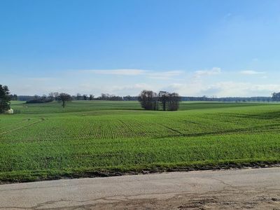 Ferienwohnung für 6 Personen (110 m²) in Horst (Schleswig-Holstein) 4/10